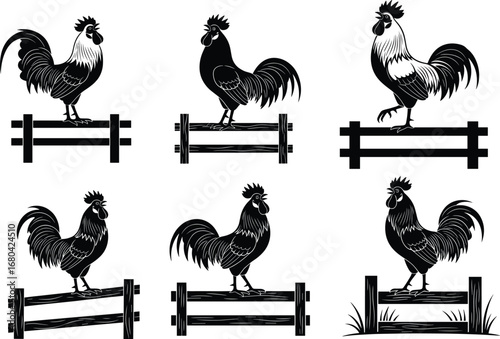Rooster silhouette vector illustration, farm animal artwork, black and white poultry design, fence perch pose, rustic countryside theme, decorative sketch style
