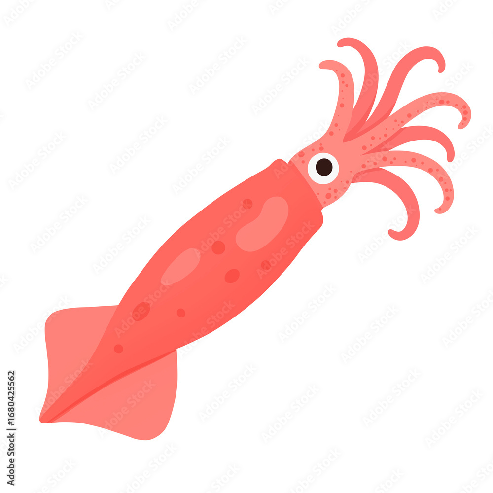 Obraz premium Squid Flat Illustration