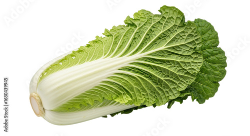 Tableau sur toile Isolated Napa Cabbage