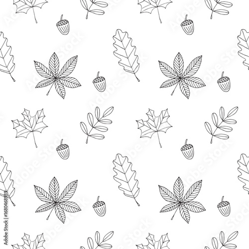 Autumn leaves and acorns seamless pattern, hand drawn, vector illustration