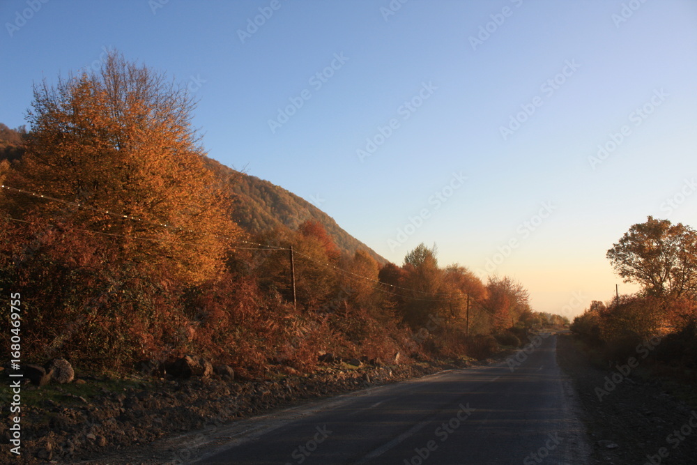 Fototapeta premium road in autumn
