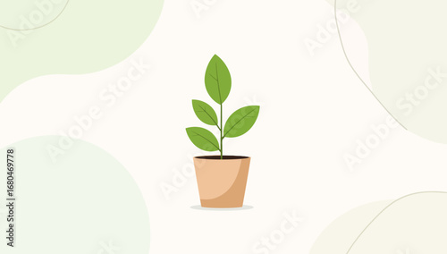 Potted seedling with four vibrant green leaves, casting a soft shadow.