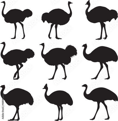 Black ostrich silhouettes various poses white background