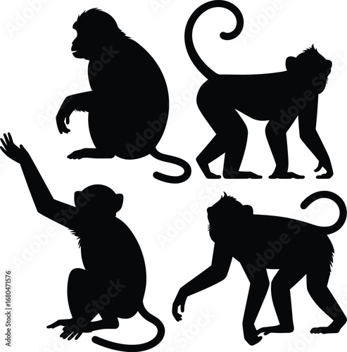 Monkey Silhouette Vector Set of Four Poses, Jungle Wildlife Animal Illustration, Black Primate Shape for Nature and Design Themes
