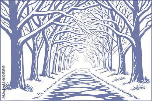Tall trees with bare branches form an impressive blue canopy over a wintery path