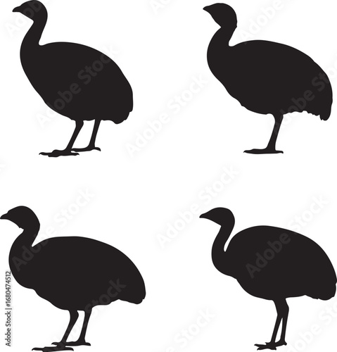 Black silhouettes of birds standing white