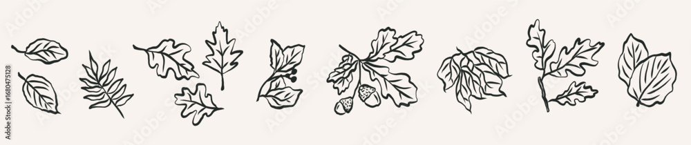 Fototapeta premium Hand drawn doodle autumn leaves collection