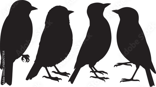 Four black bird silhouettes white standing