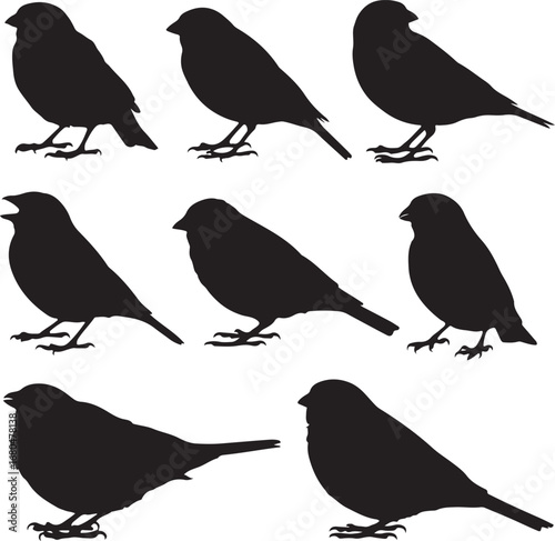 Black bird silhouettes perched and vocalizing vector