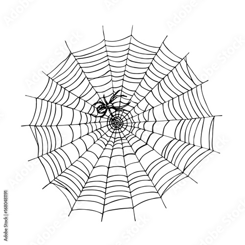 Spider web doodle drawing in engraving style. Halloween symbol, cobweb with spider sketch outline illustration. Hand-drawn vector line art clipart isolated on a white background