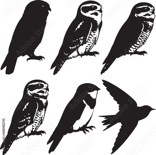 Black and white bird silhouettes flying perched