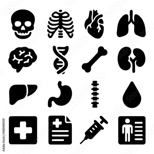 Anatomical Iconography: A visually striking collection of intricate anatomical illustrations, offering a comprehensive visual exploration of human body.