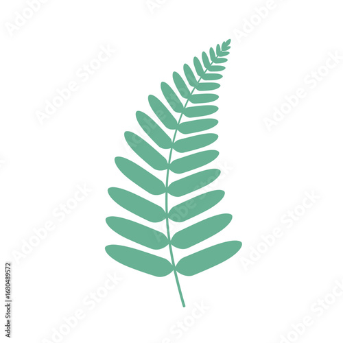 Simple illustration of a stylized fern frond against a white background.