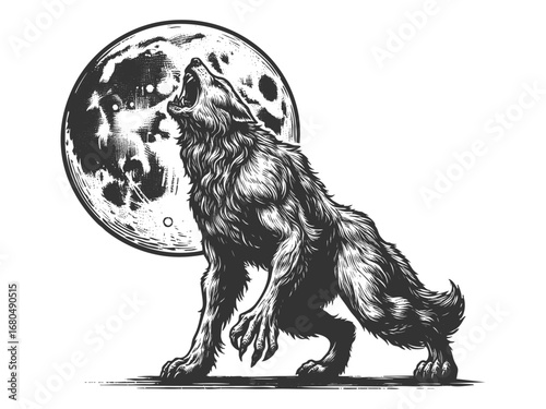 wolf standing on grass, howling at a large full moon in a dramatic night scene sketch engraving generative ai vector illustration. Scratch board imitation. Black and white image.
