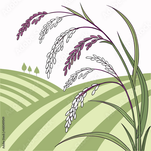 Illustration of rice plants in a field, showcasing agriculture, harvest, and rural landscape in a vintage style, perfect for organic food and healthy eating concepts