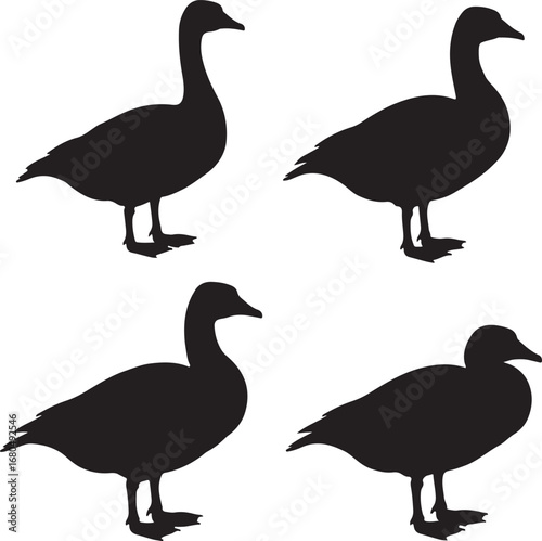 Four black goose silhouettes standing geese bird