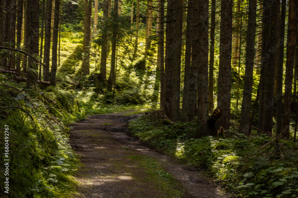 Fototapeta premium Fotowalk - Werfenweng - Salzburg - Austria
