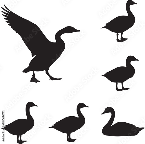 Black goose silhouettes flying standing resting geese