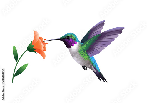 A hummingbird drinks nectar from an orange flower in this vivid stylized illustration