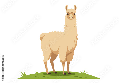 A light brown llama with a long neck stands on a small patch of green grass