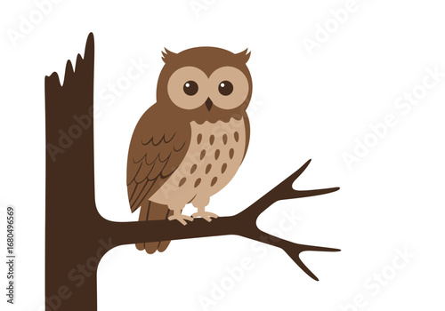Brown owl perched on a tree branch with large eyes  patterned chest
