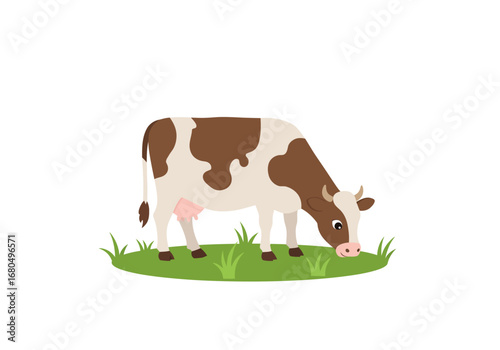 Brown and white cow grazing on a patch of green grass