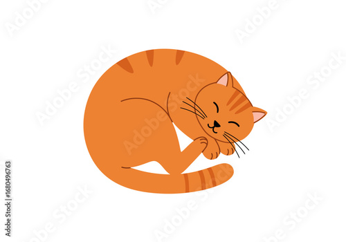 Curled orange cartoon cat with stripes closed eyes and whiskers