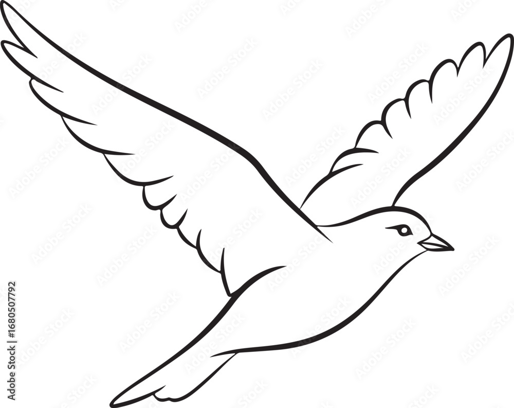 Obraz premium Bird in flight illustration flying wings