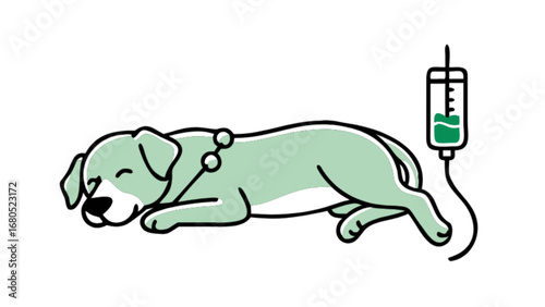 Sick dog receiving iv fluids treatment veterinary care pet health illness recovery animal hospital medical help