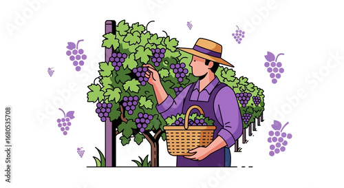 Harvesting Grapes: A Vibrant Illustration of Viticulture and Grape-Picking in Summer