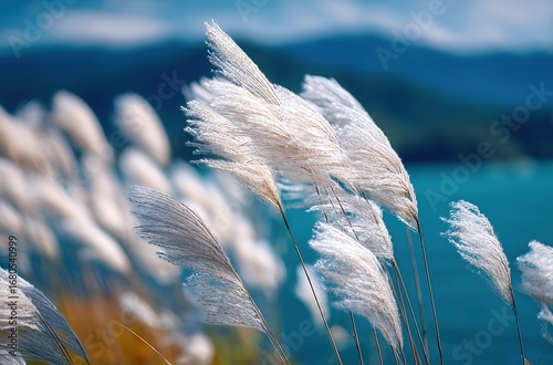 White Reeds in Wind Against Blue Sky with Blurred Mountain and Sea Background, Sunlight Through Clouds