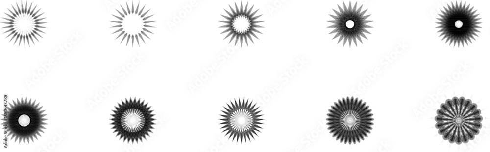 Fototapeta premium Decorative Black Flowers Vector Pack – Elegant Floral Silhouettes for Posters, Logos, and Textile Design