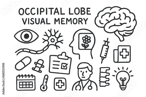 Brain and Memory Doodles. Hand-drawn doodle illustration occipital lobe visual memory occipital lobe, brain, eye, neuron, memory
