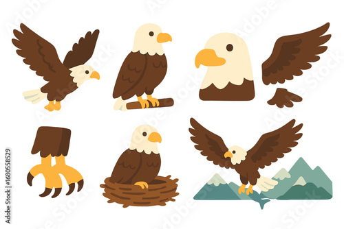 Colorful Eagle Illustrations. Flat vector mini-illustrations eagle in colors children's illustrations: flying eagle, perched eagle