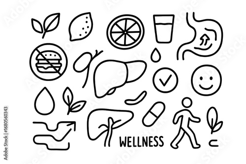 Digestive System Doodles. Hand-drawn doodle illustration bile production liver, gallbladder, bile duct, bile droplet, intestine,