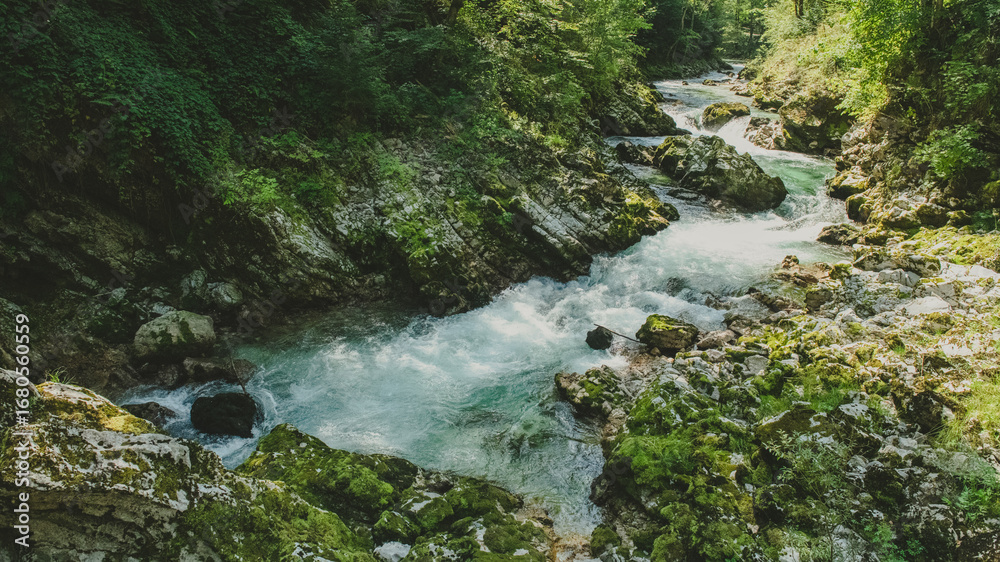 Fototapeta premium Vintgar Gorge in Slovenia's Julian Alps