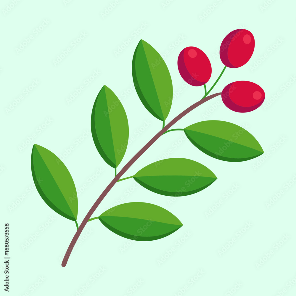 Obraz premium Stylized Berries on Branch with Green Leaves on a Pale Background