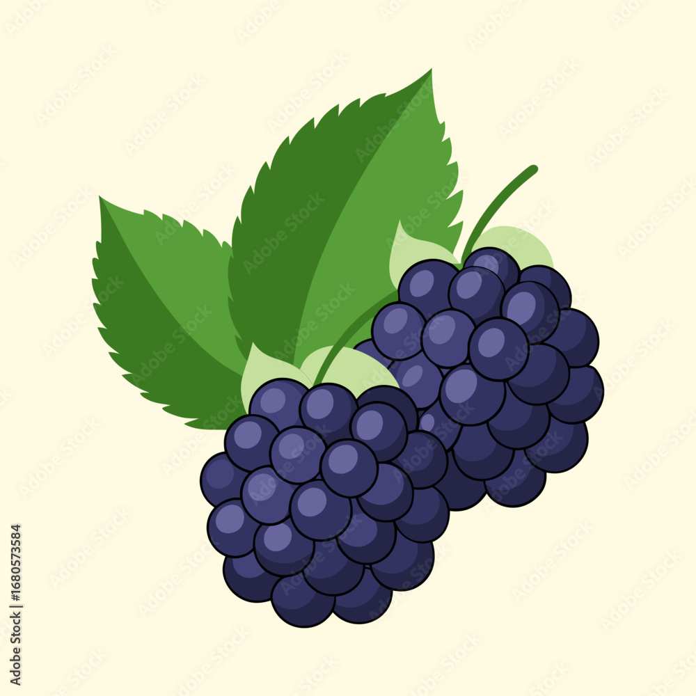 Fototapeta premium Vibrant Illustration of Two Ripe Blackberries with Green Leaves on Cream Background