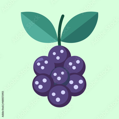 Stylized graphic of cluster of purple elderberries with green leaves on a light green background