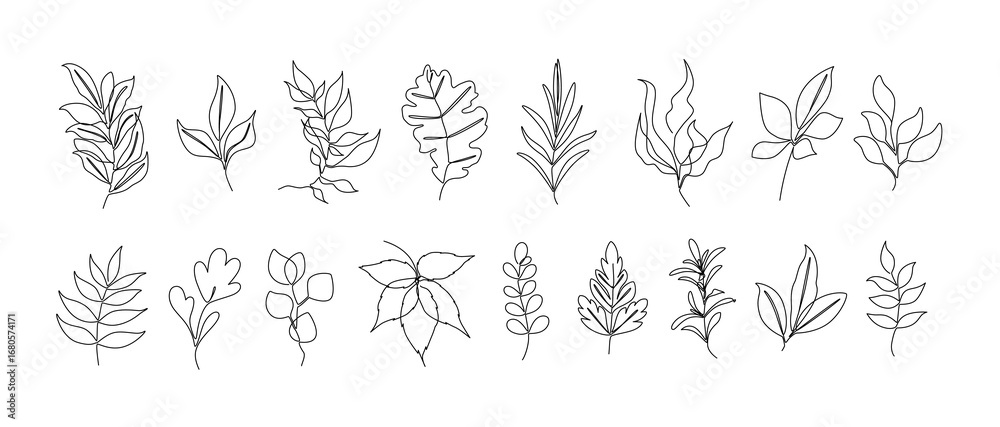 Fototapeta premium A set of twigs on a white background. Line Art. Vector. A set of twigs on a white background. Line Art. Vector. 