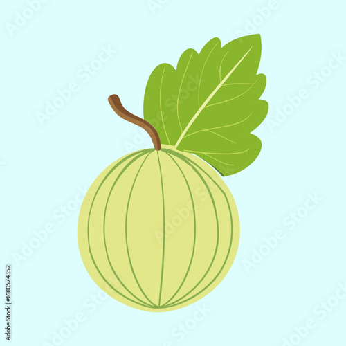 Illustration of a Simple Light Green Gooseberry with a Leaf on Light Blue