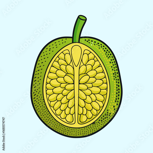 Detailed crosssection illustration of a vibrant green and yellow jackfruit half