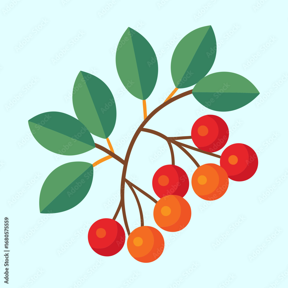 Obraz premium Stylized vector illustration of a branch with berries and leaves on light background