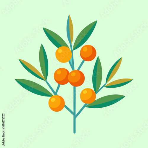 Stylized Vector Illustration of a Sea Buckthorn Branch on a Light Green Backdrop