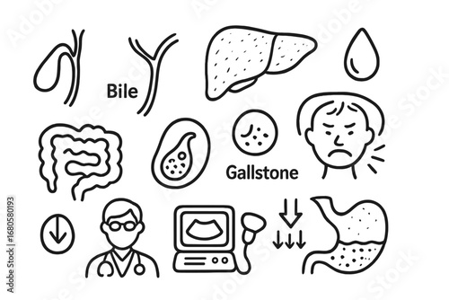 Gallbladder Anatomy Doodle. Hand-drawn doodle illustration gallbladder gallbladder, bile duct, liver, bile droplet, digestive
