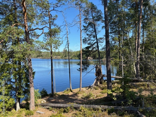 Canvas Print lake and forest, tyresö, tyresta, nationalpark, naturreservat, sverige, sweden,