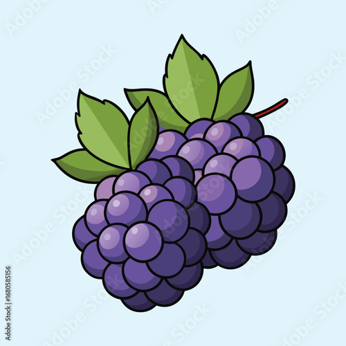 Two delicious looking blackberries with green leaves on a light blue background