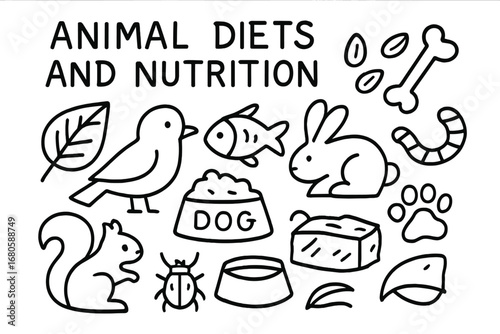 Animal Diet Icons. Hand-drawn doodle illustration Animal diets and nutrition leaf, seeds, fish, bone, bird, rabbit, dog bowl, worm