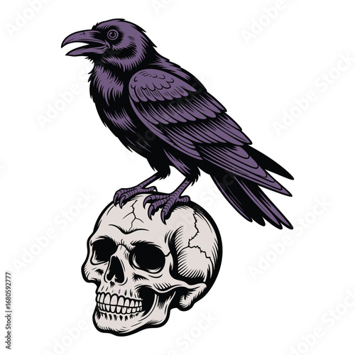 Raven on Skull