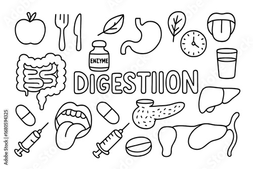 Digestive System Doodle. Hand-drawn doodle illustration digestive system digestion apple, fork and knife, stomach, intestines,
